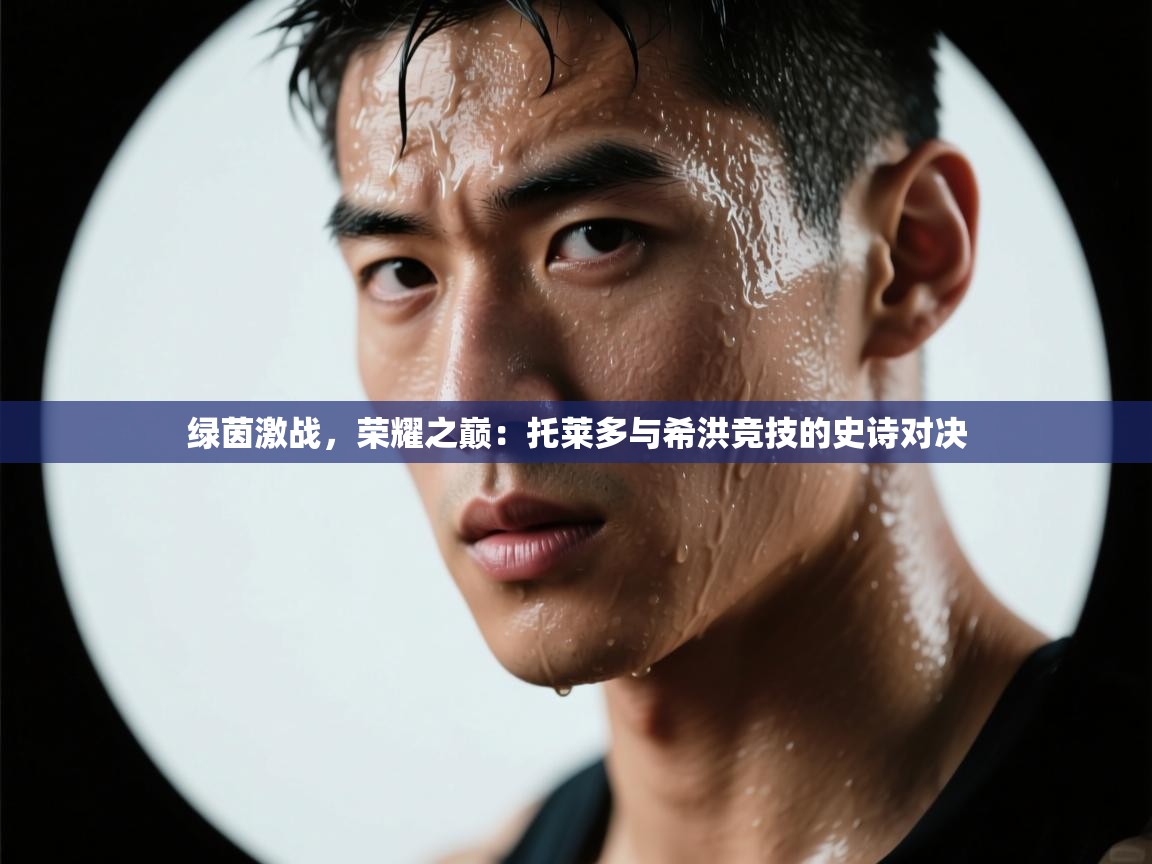 绿茵激战，荣耀之巅：托莱多与希洪竞技的史诗对决  第1张